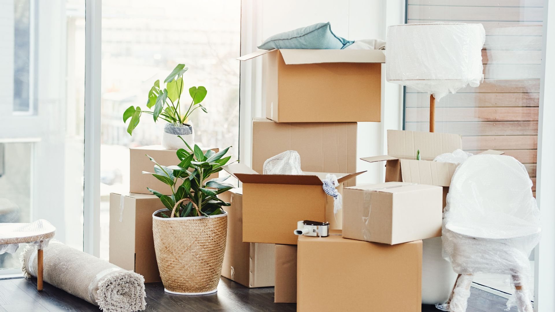Moving boxes, potted plants, and packing materials in a bright room